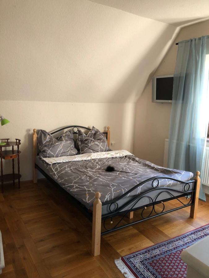 Ferienhaus Mit Pool Zum Traeumen Und Entspannen Fuer Alle Sinne Bad Schmiedeberg Kültér fotó
